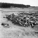 The_Liberation_of_Bergen-belsen_Concentration_Camp_April_1945_BU3774-150x150 Turquemenistão “proíbe” coronavírus: como as ditaduras enfrentam a pandemia